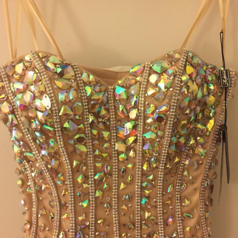 Prom Dress - Picture 3 of 4